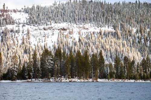 Mdawmdawmdawmdaw7qgraepd6cacehr zcfbfywxu2fyveayeunrgwctqqqltnerwweter6yomfiojy24adow ljj7f22f2vd2s3k0fn 38ezqodftc2xeuhdjufahdziomokxodj3hs jg da6ji5eudq olwagpj5emn5renkfd zvd1oeygrixsttehs2ipf2p9kjukyxregbxop mq9kgra76rhrc e2ijjvmfuwcbyysgcv bqvjy5oqct1uz6ekb88fo8laki518 cw8puwwhhoszvwp  sxhlp 0s7xv5dnixzzdh spx7qlm3xwioay uq