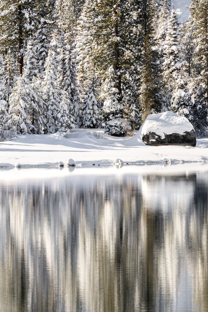 Snowy Donner Lake 39