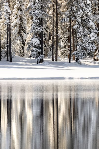 Snowy Donner Lake 38