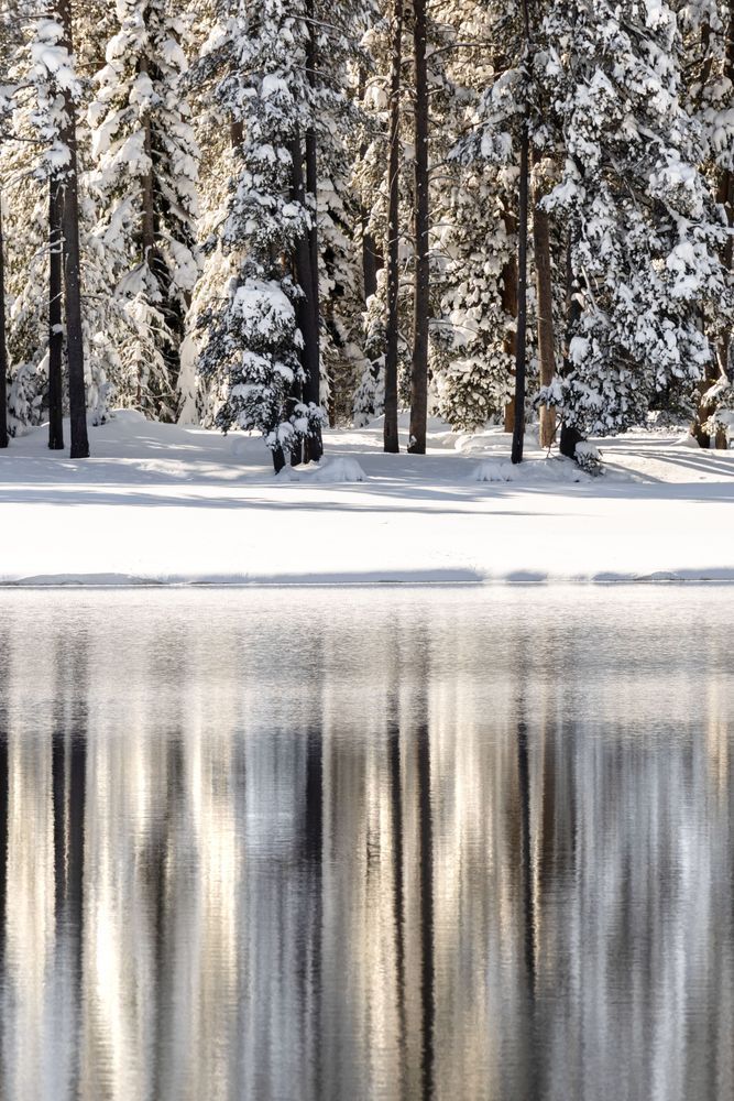 Snowy Donner Lake 38
