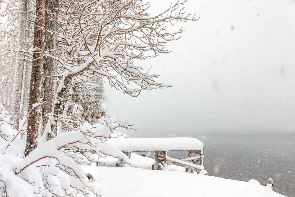 Snowy Donner Lake 5