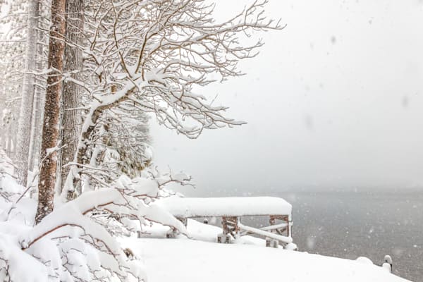 Snowy Donner Lake 5