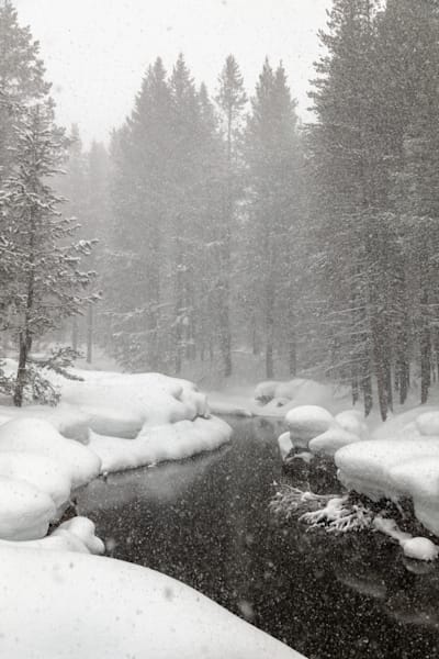 Snowy Donner Creek 1