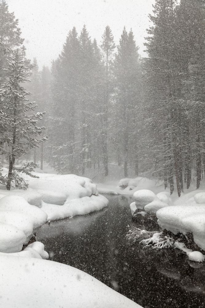 Snowy Donner Creek 1