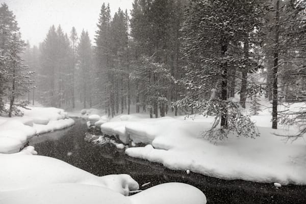Snowy Donner Creek 2