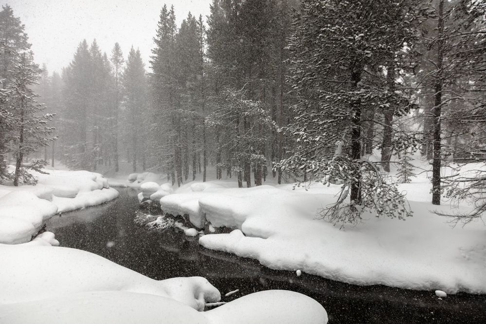 Snowy Donner Creek 2