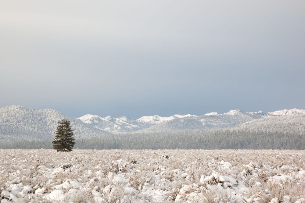 Snowy Martis Valley 4