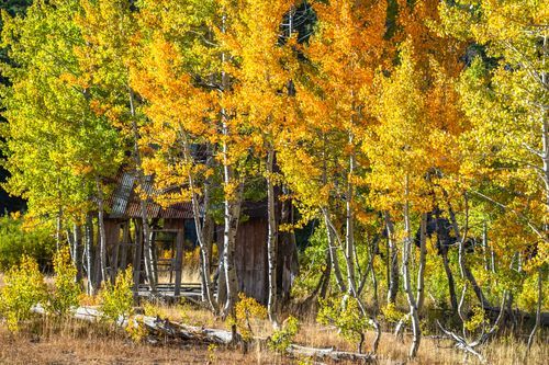 Mdawmdawmdawmdaw7qgraepd6cacehr zcfbfywxu2fyveayeunrgwctqqqltnerwweter6yomfiojy24adow ljj7f22f2vd2s3k0fn 38ezqodftc2xeuhdjufahdziomokxodj3hs jg da6ji5eudq olwagpj5emn5rfhyrzez4dmkebxniy9bieip2sf8hwzhsbq7rdpabxyf nqpnhq1mtly5qpfu2idji oszb6huw8o wbjbpcp0nmlxzzj279qny4lgwlh14vbwshvsiujtixq3o3laat4m6t  b98qb8xhlk2riklv 3i ezz91smhbgi