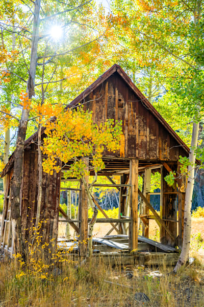 Shack in the Aspens 18