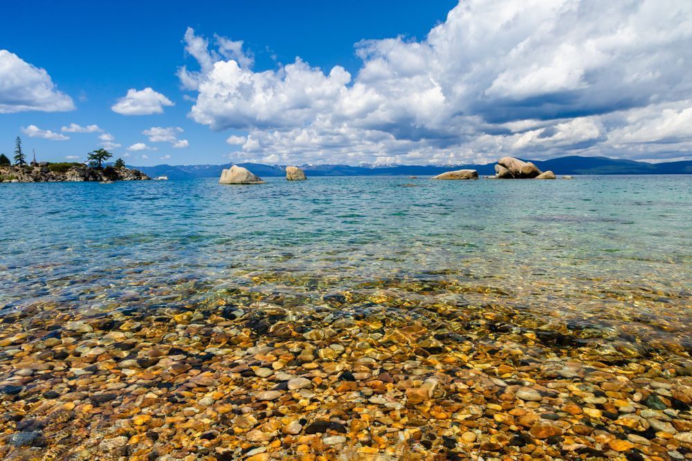 Pebbles at Whale Beach 6