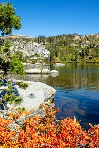 Mdawmdawmdawmdaw7qgraepd6cacehr zcfbfywxu2fyveayeunrgwctqqqltnerwweter6yomfiojy24adow ljj7f22f2vd2s3k0fn 38ezqodftc2xeuhdjufahdziomokxodj3hs jg da6ji5eudq olwagpj5emn5sdw tatribwkmzh1y1zslkcxkc7sk88rtuvenroctxov5h mpsrx9ukk7rruxnjxjh yrar69tuxayrkvfkd8 4o9hilpxvqknc5uhgv8ks nejcjhxprtmemismhaeykz 9rh1gp0wt0cz74xcthpsq2ydpi