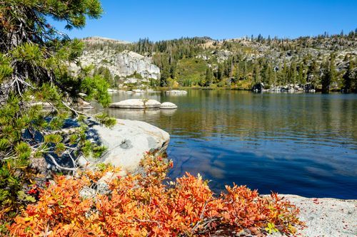 Mdawmdawmdawmdaw7qgraepd6cacehr zcfbfywxu2fyveayeunrgwctqqqltnerwweter6yomfiojy24adow ljj7f22f2vd2s3k0fn 38ezqodftc2xeuhdjufahdziomokxodj3hs jg da6ji5eudq olwagpj5emn5sdw tatribwkmzh1y1zsmkdfmfvgj7mrtuvenroctwif h mpsrx9ukk7rruxnjxjh yrar69tuxayrkvfkd8 4o9hilpxvqknc5uhgv8ks nejcjhxprtmemismhaeykz 9rh1hzsh2sdp jsyiij8eu7yjh