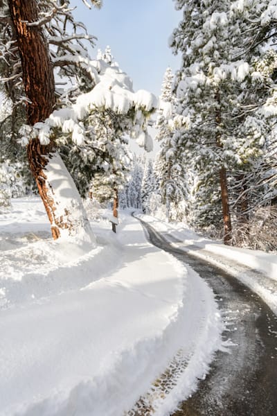Path Through The Snow 1