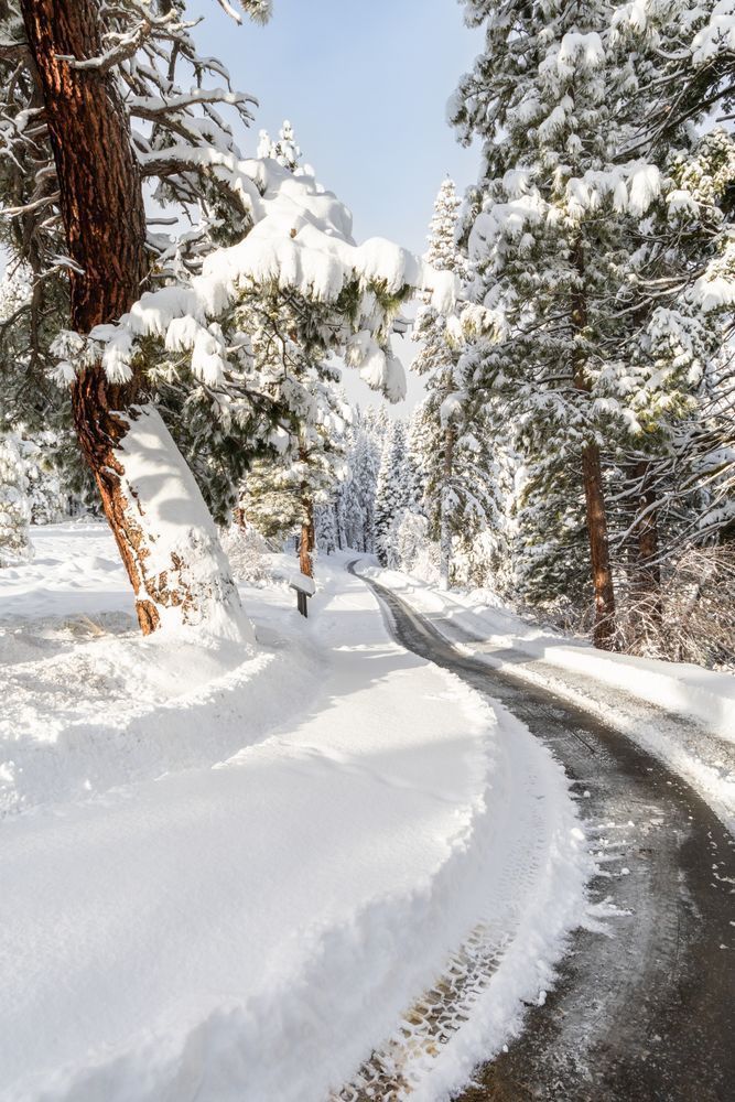 Path Through The Snow 1