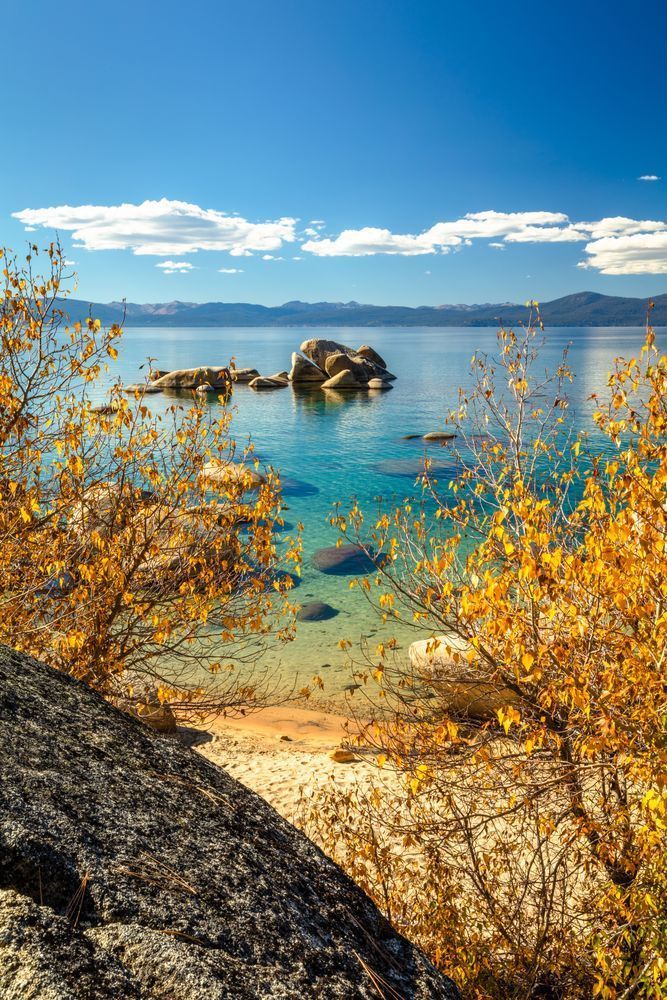 Whale Beach in Autumn 1