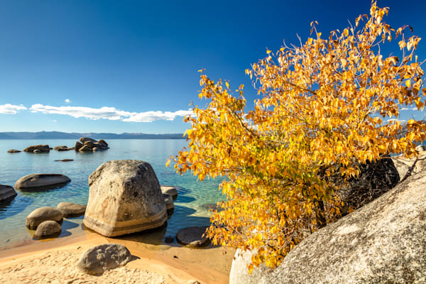 Whale Beach in Autumn 2