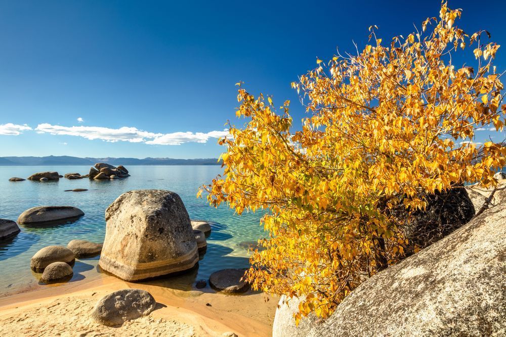 Whale Beach in Autumn 2