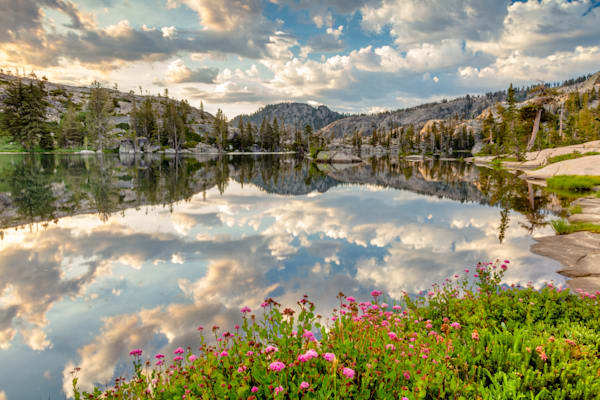 Wildflowers at Paradise Lake 2