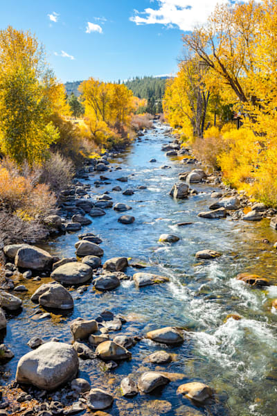 Truckee River in Autumn 25