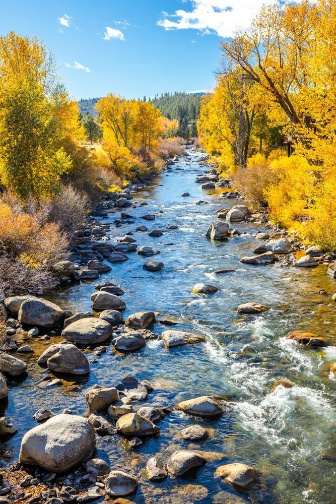 Truckee River in Autumn 25