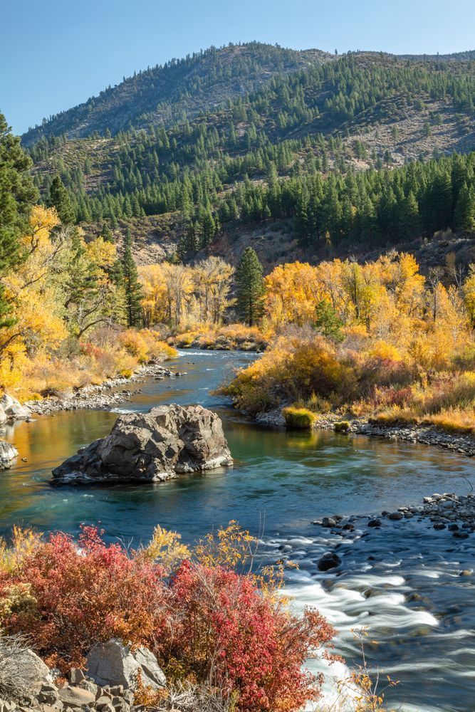 Truckee River in Autumn 28