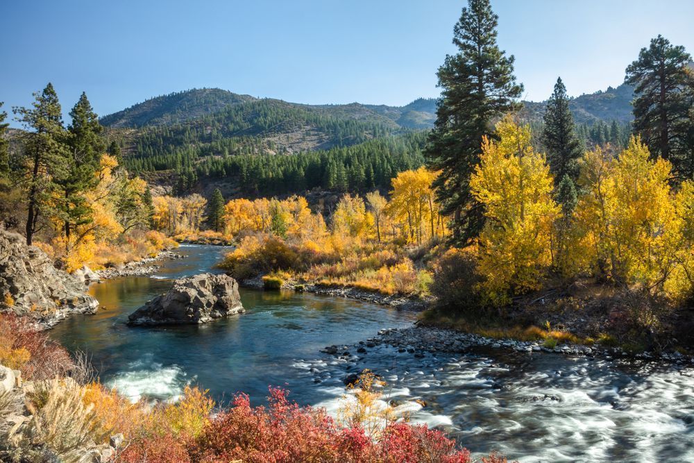 Truckee River in Autumn 32