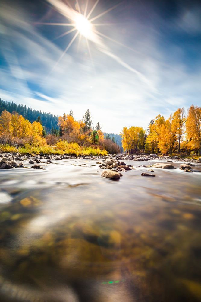 Truckee River in Autumn 17