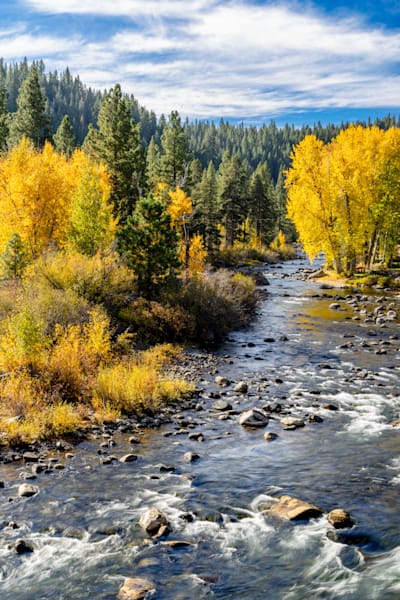 Truckee River In Autumn 39