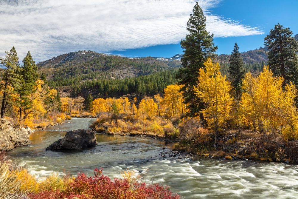 Truckee River In Autumn 38