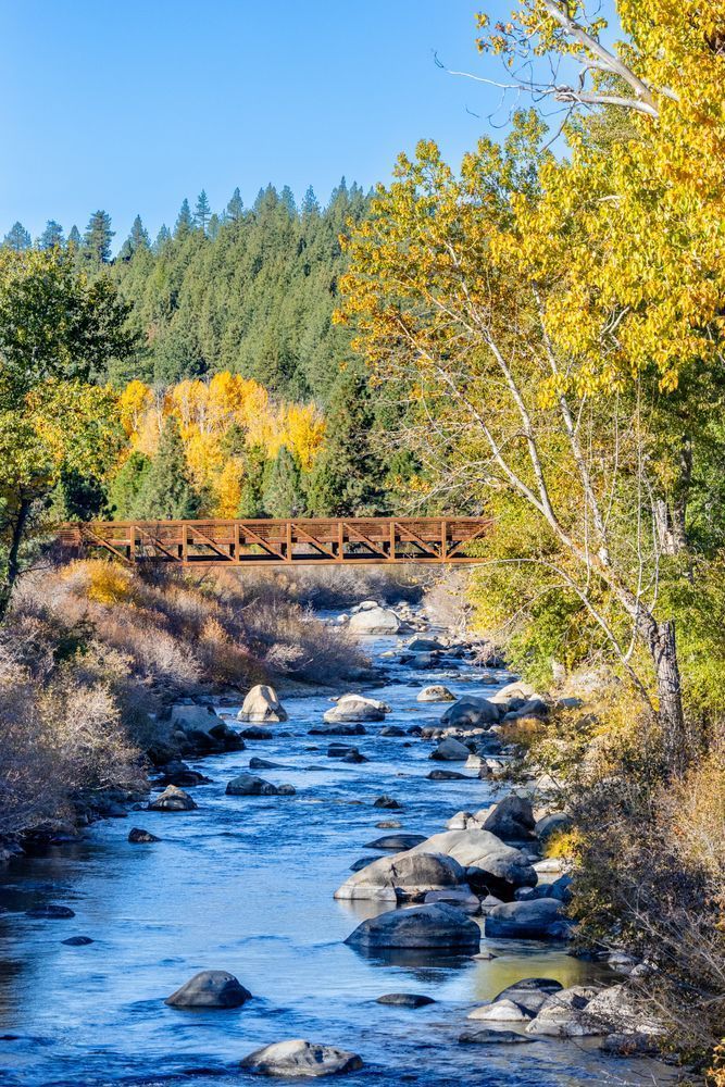 Truckee River In Autumn 44