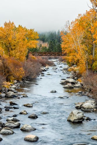 Mdawmdawmdawmdaw7qgraepd6cacehr zcfbfywxu2fyveayeunrgwctqqqltnerwweter6yomfiojy24adow ljj7f22f2vd2s3k0fn 38ezqodftc2xeuhdjufahdziomokxodj3hs jg da6ji5eudq olwagpj5emn5wzmirzdb0p2 dcrnp1ezwkavwyrt68lrwvjjqbudhg99mmk5mhw9pqeb5h uoidqzxr rcbc9tqgv4atsa7x85dslbhxdif4iejjutej5nmqqro8qdyuy xenmp zf0whe 1hs0e9ga1q7hrvflwyos8 mzoyglmuratznxzbma