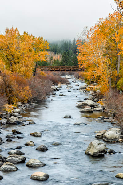 Truckee River In Autumn 41