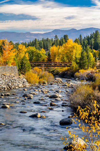 Truckee River In Autumn 40