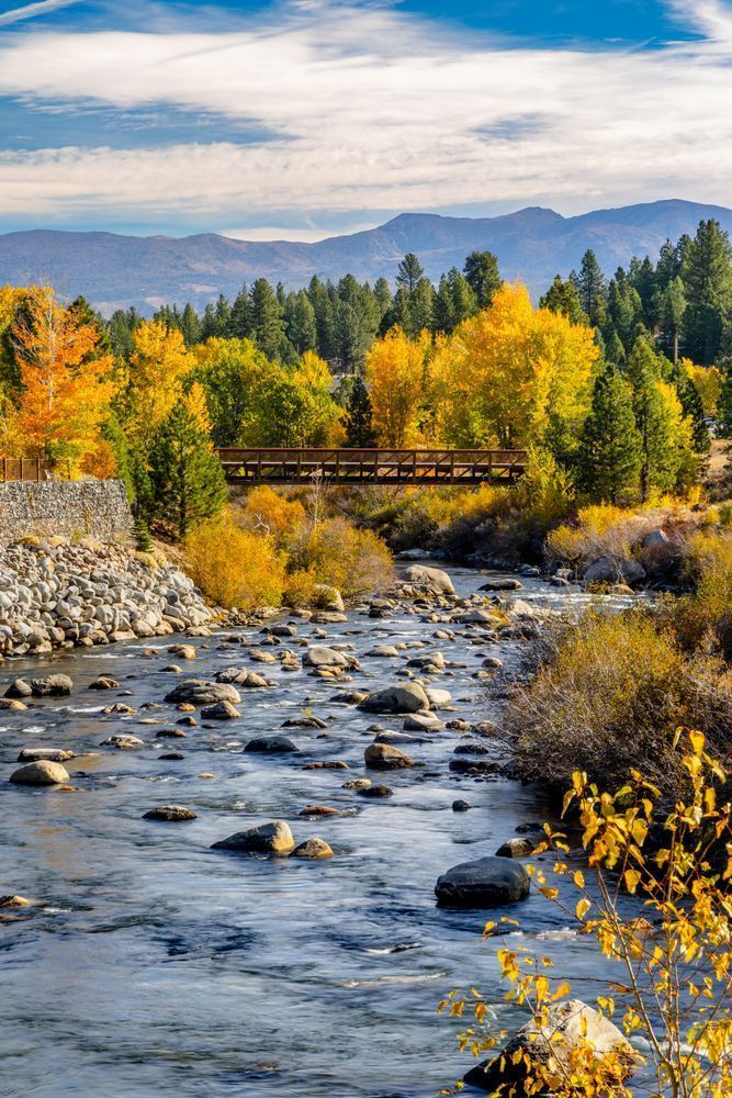 Truckee River In Autumn 40
