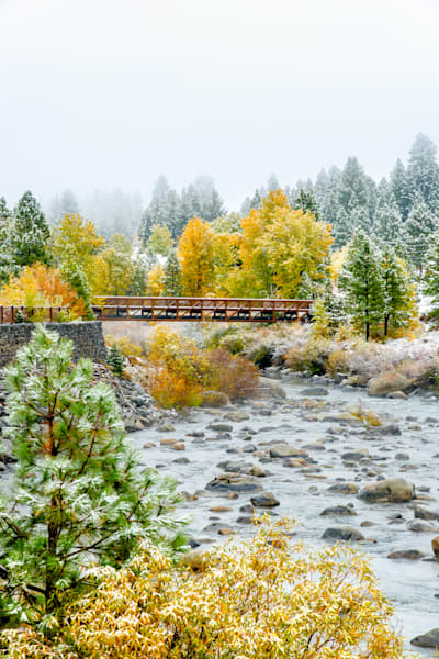 Truckee River In Autumn 43