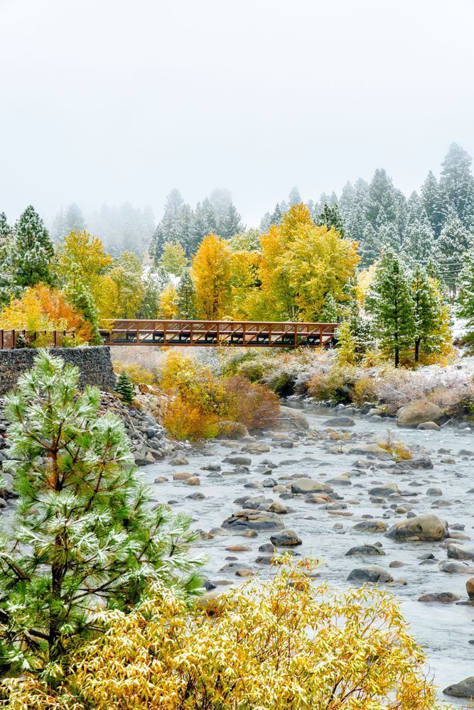 Truckee River In Autumn 43