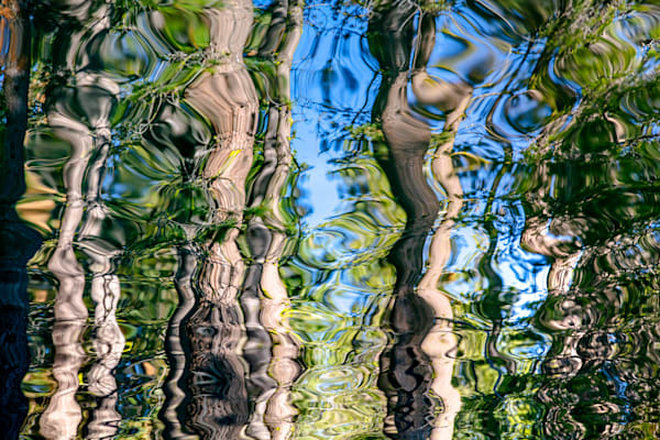 Tree Reflections on Donner Lake 1