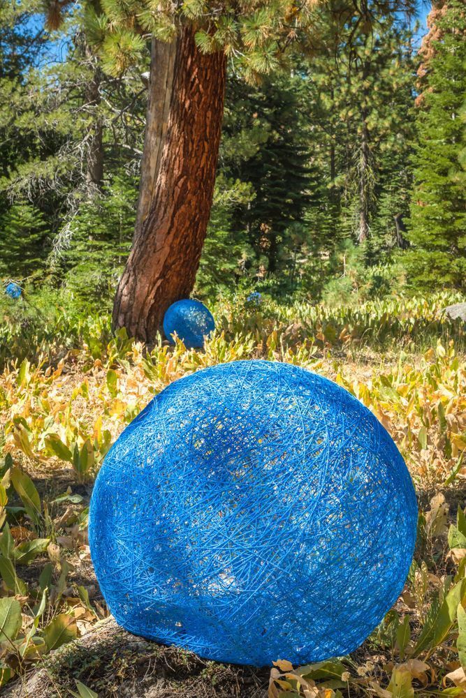 Trails and Vistas 2019