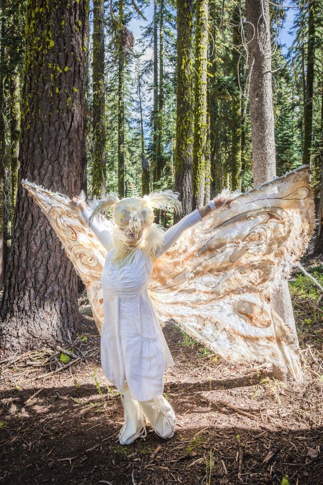 Trails And Vistas 2018 6 Photography Art | Scott Shots Photography