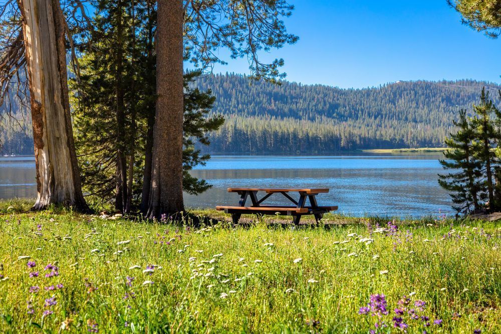 2022 Summer Trails and Vistas - Webber Lake