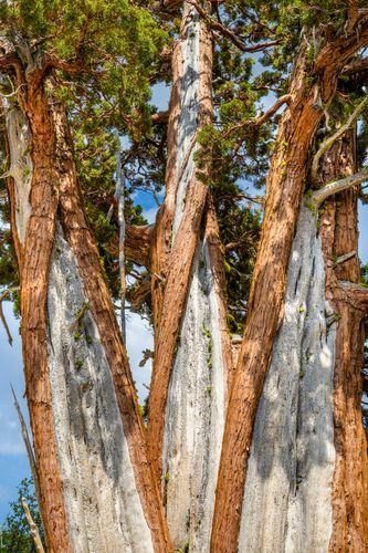 Mdawmdawmdawmdaw7qgraepd6cacehr zcfbfywxu2fyveayeunrgwctqqqltnerwweter6yomfiojy24adow ljj7f22f2vd2s3k0fn 38ezqodftc2xeuhdjufahdziomokxodj3hs jg da6ji5eudq olwagpj5emn5wdxwda zfelipweji89peed0xof8gq91bvp vrewemmmui7vdwkww9kwvskevmsdshfosieuiruwz4ab9pe8x58fqvtqeh784cosrhhq3z5ljaoeewiqz4h5h1ij5egfmkikvp4rrueeftlkvupqiqxa