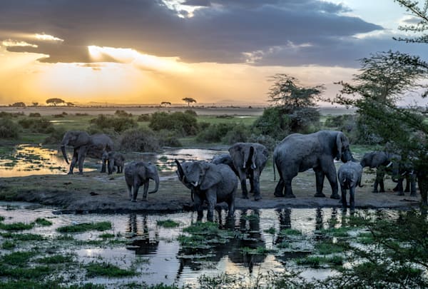 Kenya