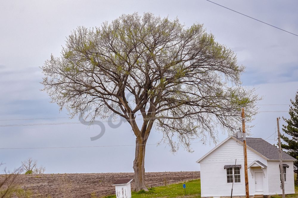 Van Meter 33 Photography Art | Photos By Regan