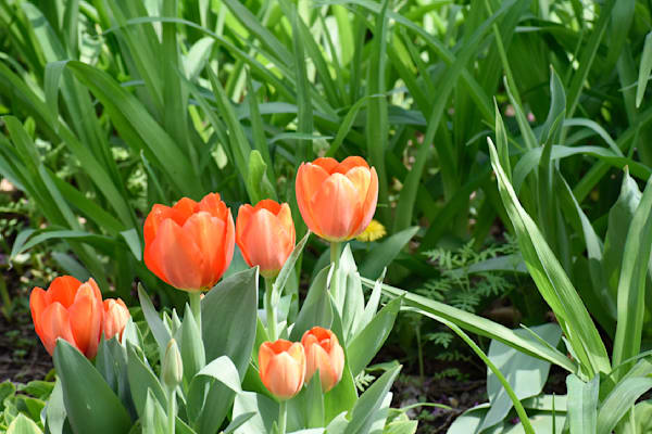 Pella 47 Photography Art | Photos By Regan