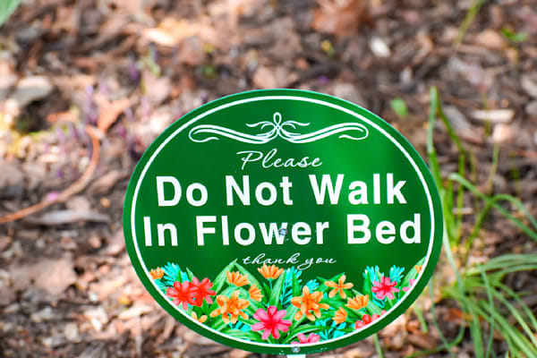 Pella 48 Photography Art | Photos By Regan