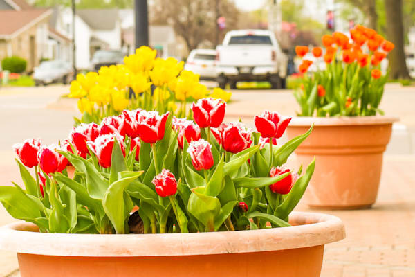 Pella 13 Photography Art | Photos By Regan