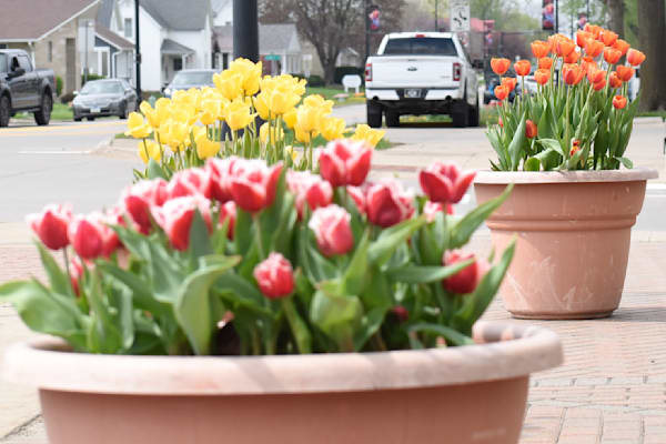 Pella 12 Photography Art | Photos By Regan