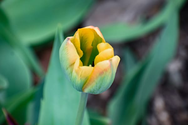 Pella 19 Photography Art | Photos By Regan