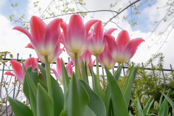 Pella 24 Photography Art | Photos By Regan