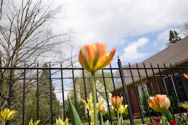 Pella 29 Photography Art | Photos By Regan